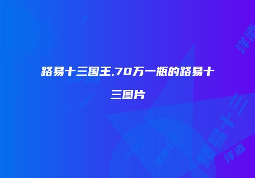 路易十三国王,70万一瓶的路易十三图片