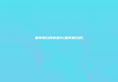 黑啤和白啤的图片(黑啤跟白啤)