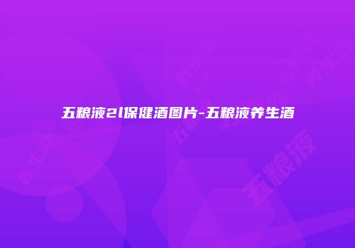 五粮液2l保健酒图片-五粮液养生酒