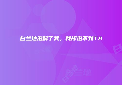 白兰地泡醉了我，我却泡不到TA