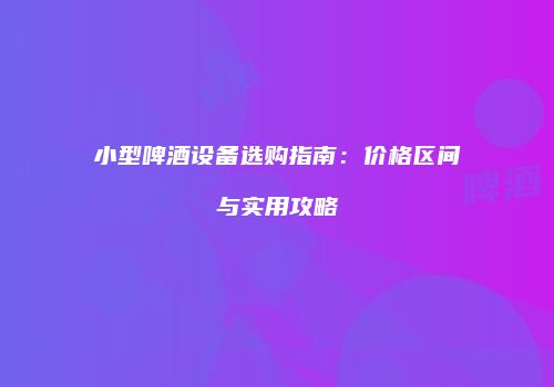 小型啤酒设备选购指南：价格区间与实用攻略