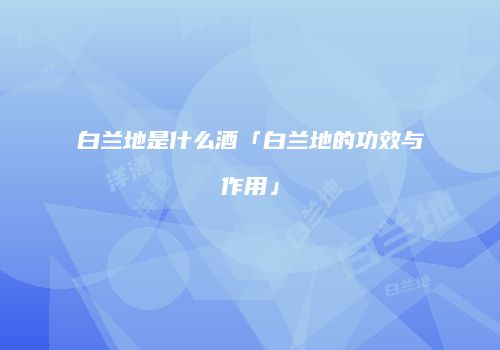 白兰地是什么酒「白兰地的功效与作用」