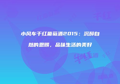 小风车干红葡萄酒2015：沉醉自然的恩赐，品味生活的美好