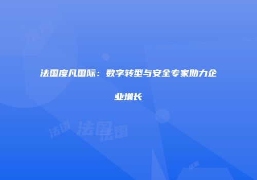 法国度凡国际：数字转型与安全专家助力企业增长