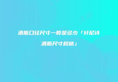 酒瓶口径尺寸一般是多少「轩尼诗酒瓶尺寸规格」
