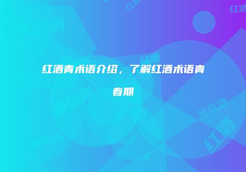 红酒青术语介绍，了解红酒术语青春期