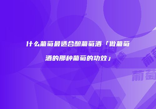 什么葡萄最适合酿葡萄酒「做葡萄酒的那种葡萄的功效」
