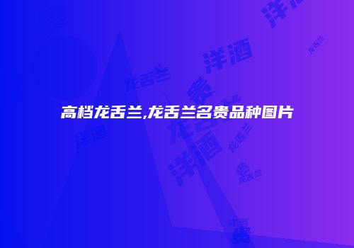 高档龙舌兰,龙舌兰名贵品种图片