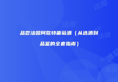 品尝法国阿歇特葡萄酒（从选酒到品鉴的全套指南）
