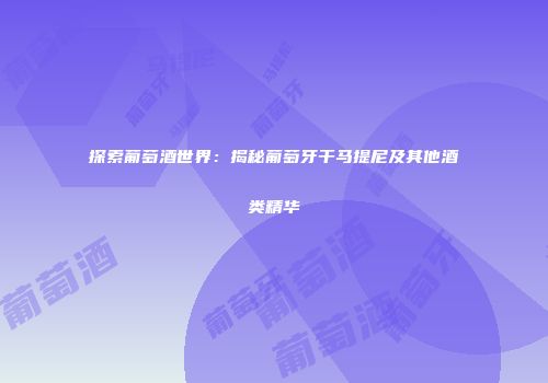 探索葡萄酒世界：揭秘葡萄牙干马提尼及其他酒类精华