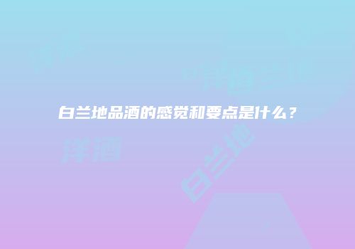 白兰地品酒的感觉和要点是什么？