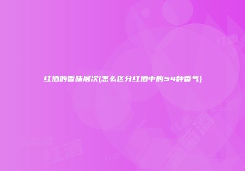 红酒的香味层次(怎么区分红酒中的54种香气)