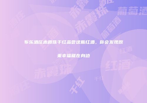 布乐酒庄赤霞珠干红品尝这瓶红酒，你会发现原来幸福就在身边