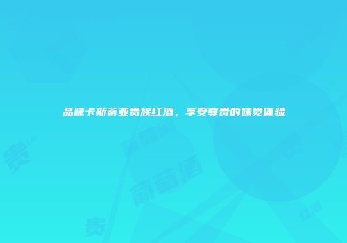 品味卡斯蒂亚贵族红酒，享受尊贵的味觉体验
