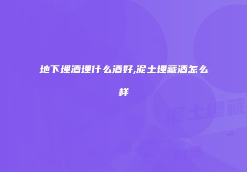 地下埋酒埋什么酒好,泥土埋藏酒怎么样