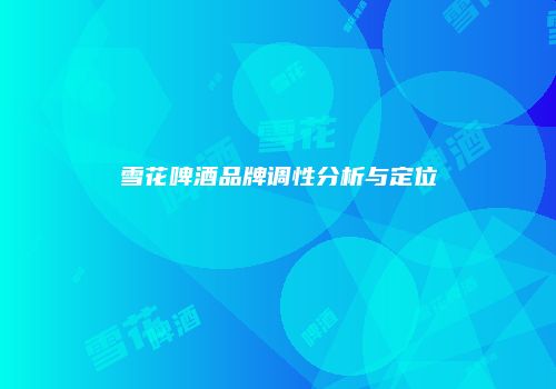雪花啤酒品牌调性分析与定位