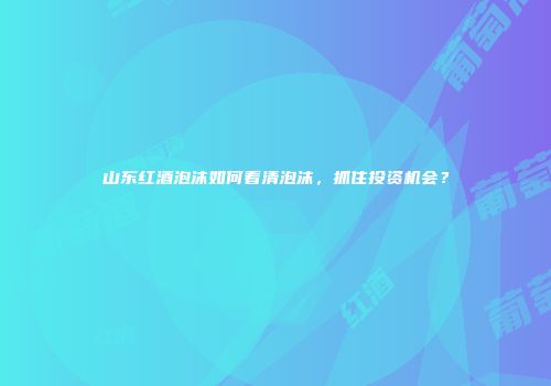山东红酒泡沫如何看清泡沫，抓住投资机会？