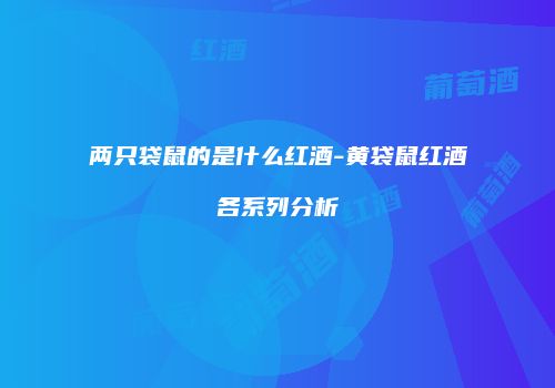 两只袋鼠的是什么红酒-黄袋鼠红酒各系列分析