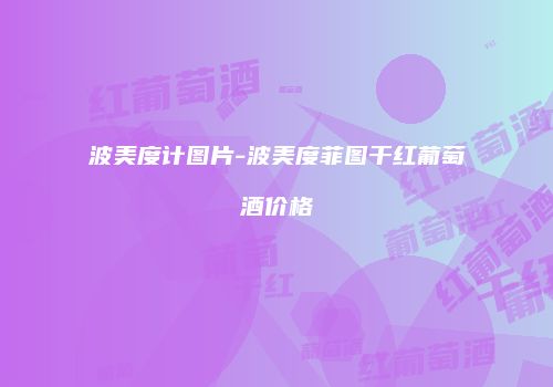 波美度计图片-波美度菲图干红葡萄酒价格