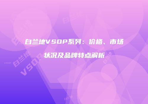 白兰地VSOP系列：价格、市场状况及品牌特点解析
