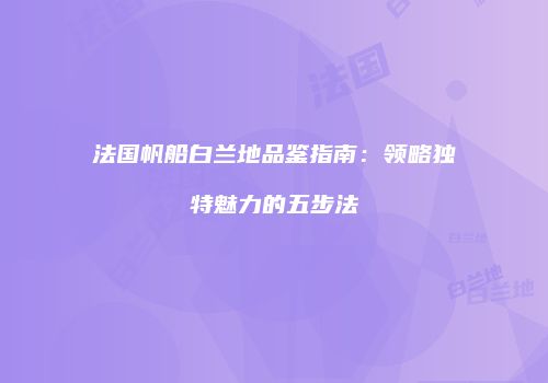 法国帆船白兰地品鉴指南：领略独特魅力的五步法