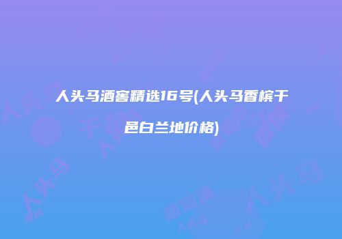 人头马酒窖精选16号(人头马香槟干邑白兰地价格)