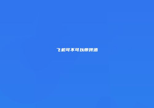 飞机可不可以带啤酒