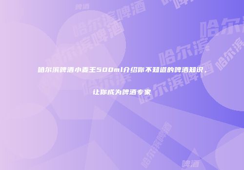 哈尔滨啤酒小麦王500ml介绍你不知道的啤酒知识，让你成为啤酒专家
