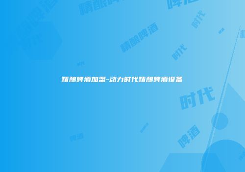 精酿啤酒加盟-动力时代精酿啤酒设备