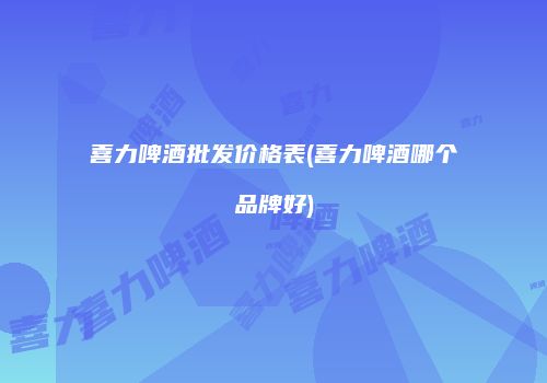 喜力啤酒批发价格表(喜力啤酒哪个品牌好)