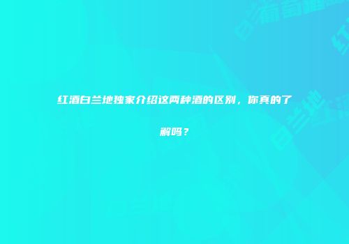 红酒白兰地独家介绍这两种酒的区别，你真的了解吗？
