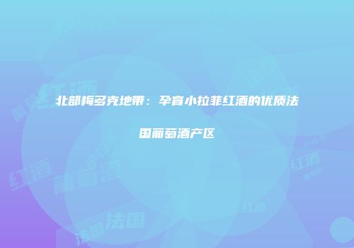 北部梅多克地带：孕育小拉菲红酒的优质法国葡萄酒产区