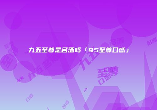 九五至尊是名酒吗「95至尊口感」