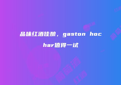品味红酒佳酿，gaston hochar值得一试