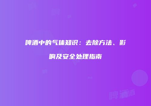啤酒中的气体知识：去除方法、影响及安全处理指南