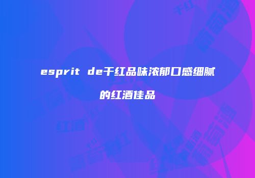 esprit de干红品味浓郁口感细腻的红酒佳品