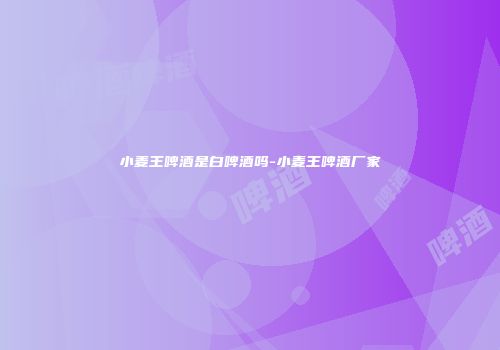 小麦王啤酒是白啤酒吗-小麦王啤酒厂家