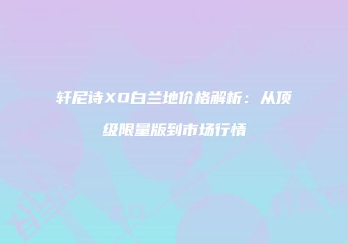 轩尼诗XO白兰地价格解析：从顶级限量版到市场行情
