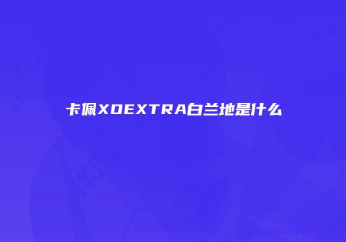 卡佩XOEXTRA白兰地是什么
