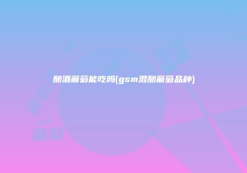 酿酒葡萄能吃吗(gsm混酿葡萄品种)
