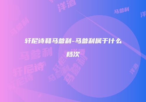 轩尼诗和马爹利-马爹利属于什么档次