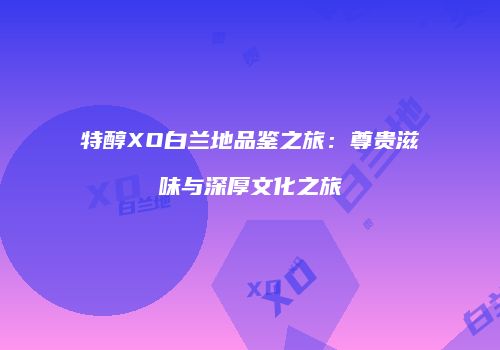 特醇XO白兰地品鉴之旅：尊贵滋味与深厚文化之旅