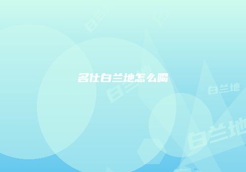 名仕白兰地怎么喝