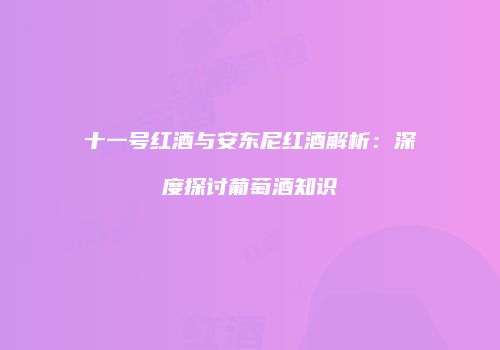 十一号红酒与安东尼红酒解析：深度探讨葡萄酒知识