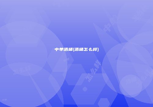 中单酒桶(酒桶怎么样)