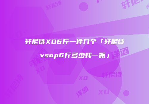 轩尼诗XO6斤一件几个「轩尼诗vsop6斤多少钱一瓶」