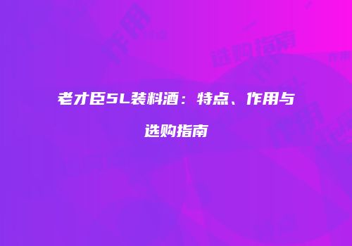 老才臣5L装料酒：特点、作用与选购指南