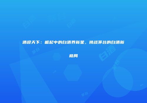 洒迎天下：崛起中的白酒界新星，挑战茅台的白酒新格局