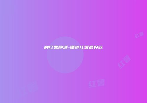 种红薯酿酒-哪种红薯最好吃