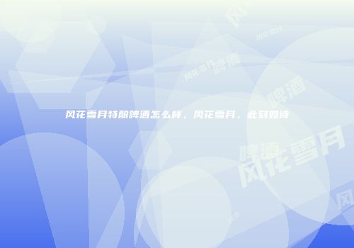 风花雪月特酿啤酒怎么样，风花雪月，此刻如诗